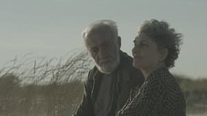 As Horas de Luz — foto 6