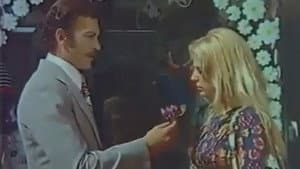 Bir Demet Menekşe — foto 1