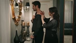 Episodio 81