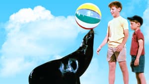Sammy, the Way-Out Seal — foto 1