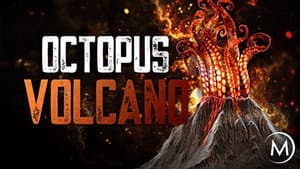 Octopus Volcano — foto 1