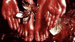 L'enfant qui a pissé des paillettes — foto 1
