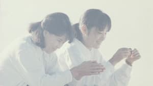 BU・SU — foto 12