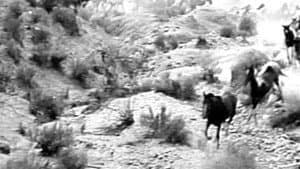 The Fighting Stallion — foto 1