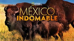 México indomable — foto 8
