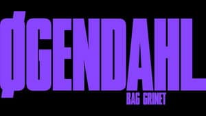 Øgendahl Bag Grinet — foto 1