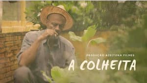 A Colheita — foto 1