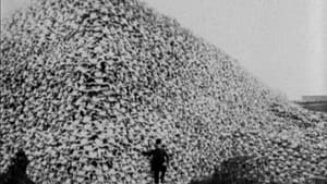 The Great Buffalo Saga — foto 2