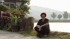 열 개의 우물 — foto 1