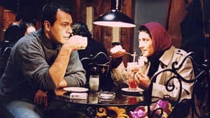 برگ برنده — foto 1