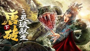 唐砖下之灵域双生 — foto 1