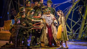 Sprookjessprokkelaar De Musical — foto 6