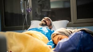 Episodio 15