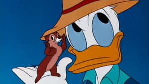 Donald Applecore — foto 1