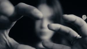 Don’t Look Back — foto 1