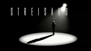 Streisand: Live in Concert 2006 — foto 1
