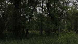 Hypodermic — foto 1