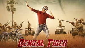 బెంగాల్ టైగర్ — foto 8