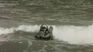 Rowlf the Salesman — foto 1