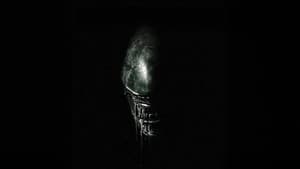 « Alien » : terreur sur grand écran — foto 9