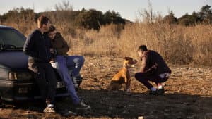 Chien de la casse — foto 4
