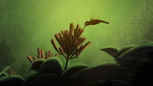 La Légende du colibri — foto 1