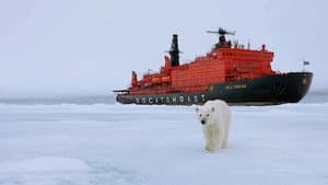 Die Arktis - 66,5 Grad Nord — foto 5