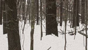 The Lost Season — foto 3