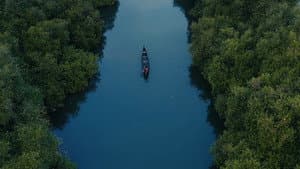 ആവാസ വ്യൂഹം — foto 1