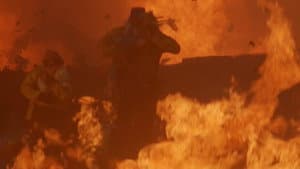 Firestorm — foto 4