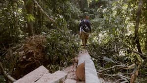 Delikado — foto 2