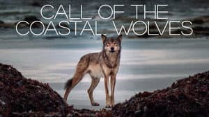 Call Of The Coastal Wolves — foto 1