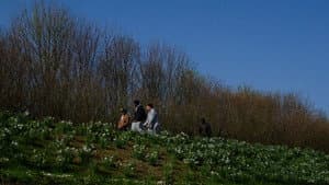 Le cratère des Hautes-Bruyères — foto 3