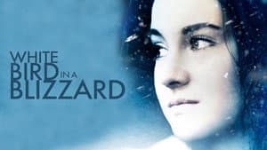 White Bird in a Blizzard — foto 8