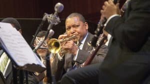 Jazz — foto 2