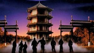 龍之忍者 — foto 6