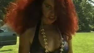 Evilution — foto 1