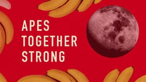 Apes Together Strong — foto 1