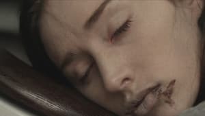 Contracted — foto 9