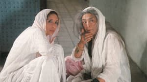 The Guru — foto 2