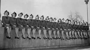 Flying Stewardess — foto 1