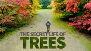 The Secret Life of Trees — foto 2