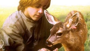 The Yearling — foto 1