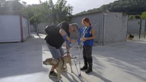 Episodio 3