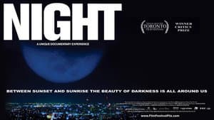 Night — foto 6