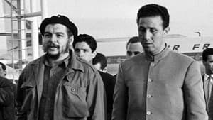 Alger, la Mecque des Révolutionnaires (1962-1974) — foto 3