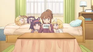 Episodio 12