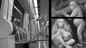 Biological Loneliness — foto 1