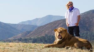 Like A Lion — foto 1