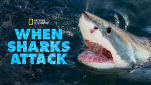 When Sharks Attack — foto 6